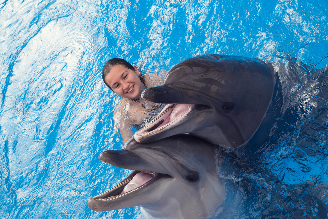 Girl Swimming with Dolphin